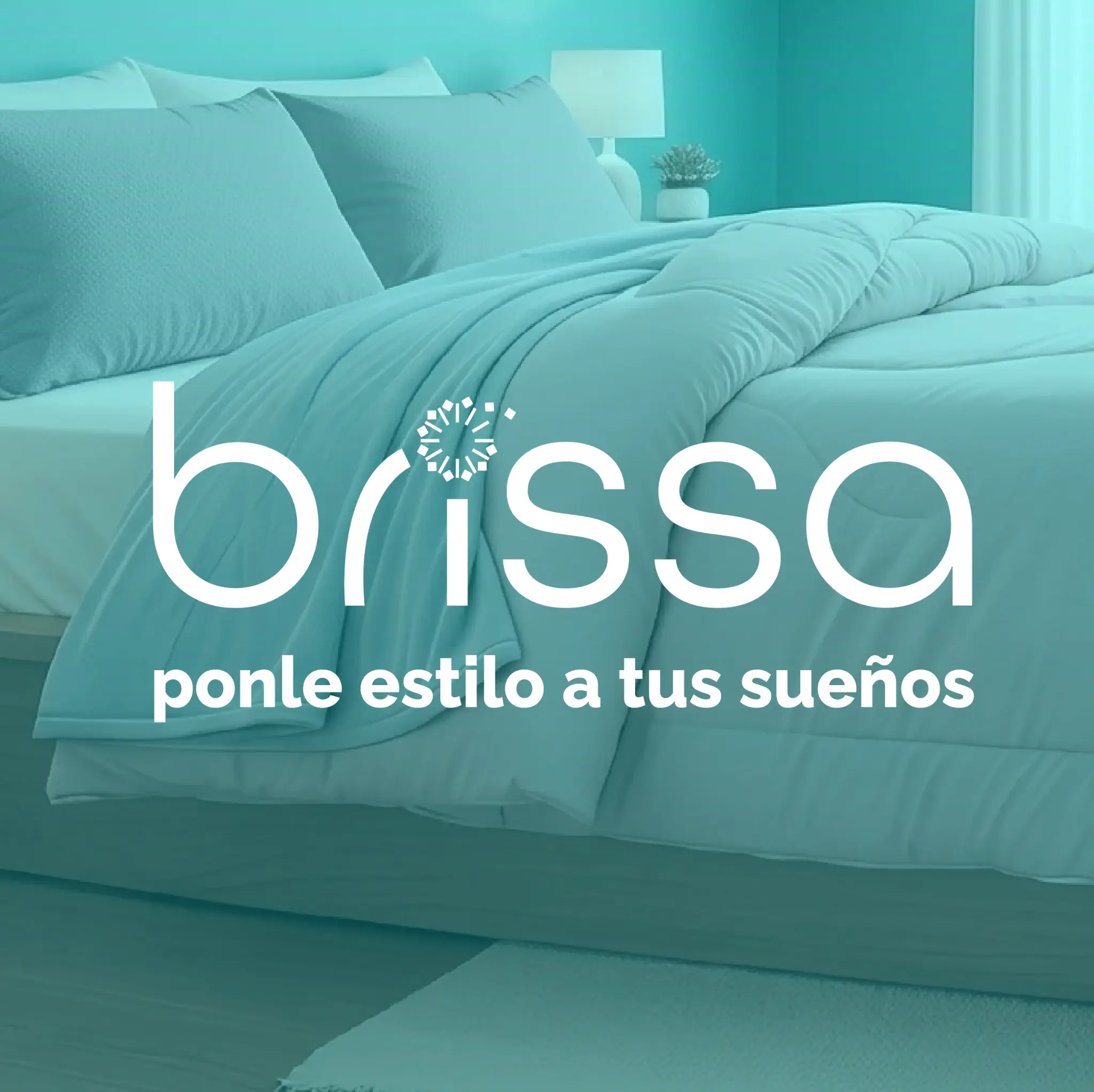 Logo Brissa