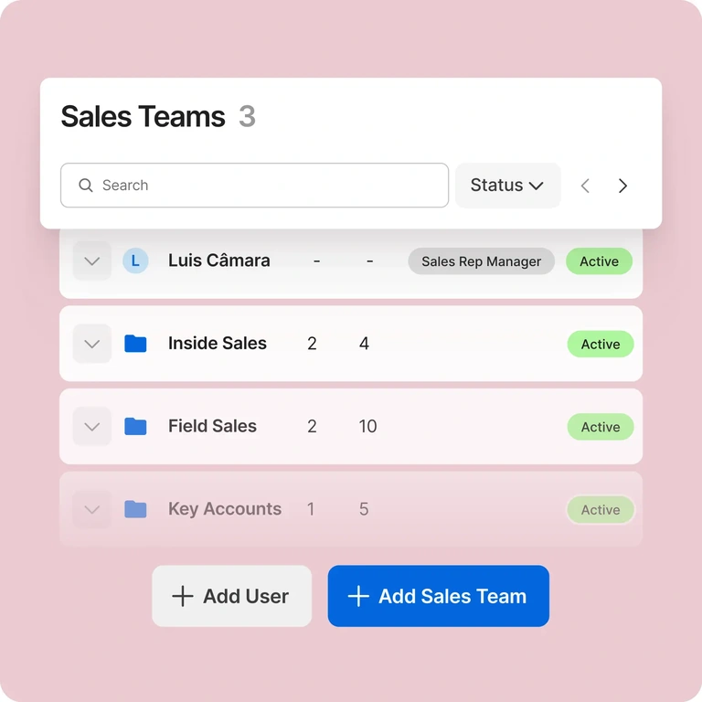 Gestão de times de vendas, com estrutura de inside sales, field sales e key accounts.